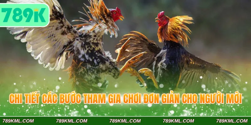 Chi tiết các bước tham gia chơi đơn giản cho người mới