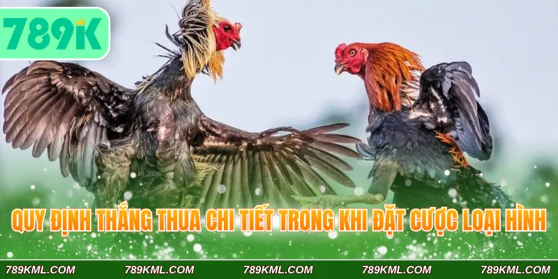 Quy định thắng thua chi tiết trong khi đặt cược loại hình